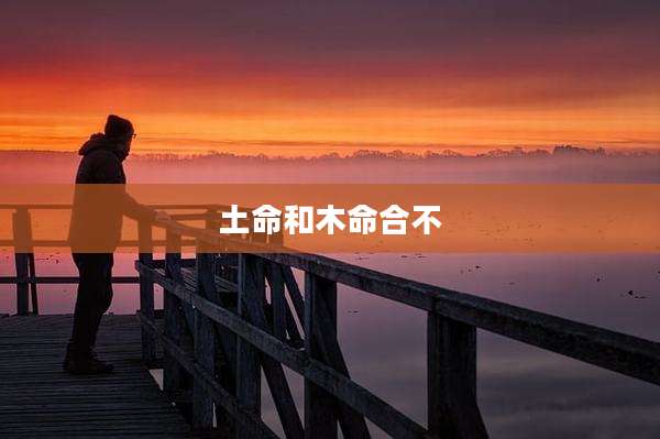 土命和木命合不