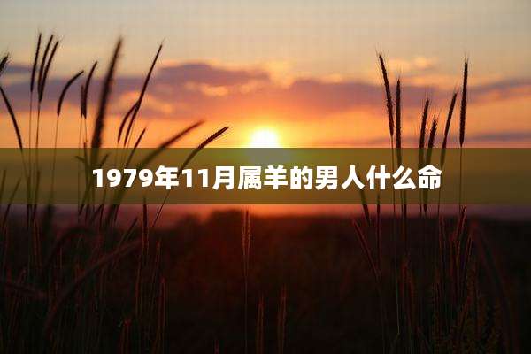1979年11月属羊的男人什么命