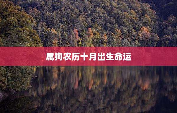 属狗农历十月出生命运