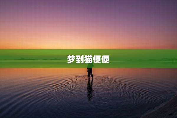 梦到猫便便