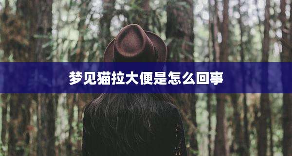 梦见猫拉大便是怎么回事