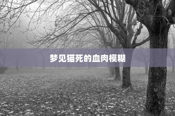 梦见猫死的血肉模糊