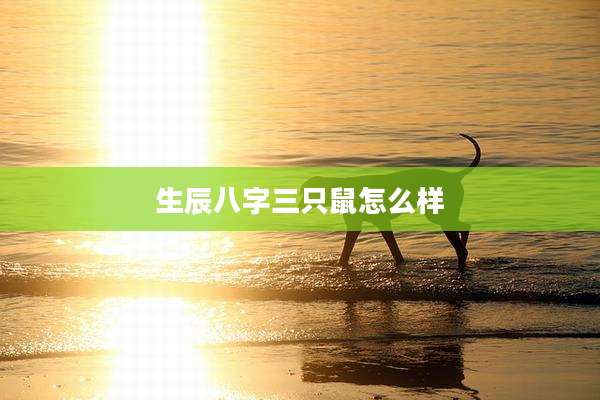 生辰八字三只鼠怎么样