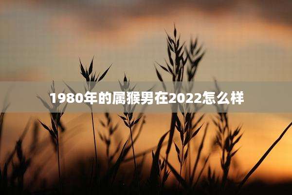 1980年的属猴男在2022怎么样