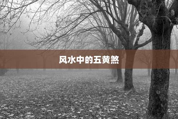 风水中的五黄煞