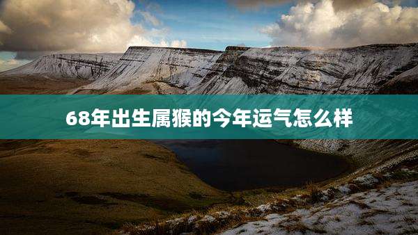 68年出生属猴的今年运气怎么样