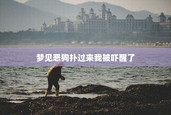 梦见恶狗扑过来我被吓醒了