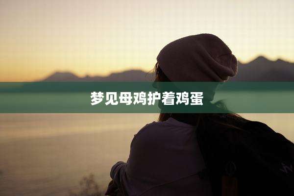 梦见母鸡护着鸡蛋