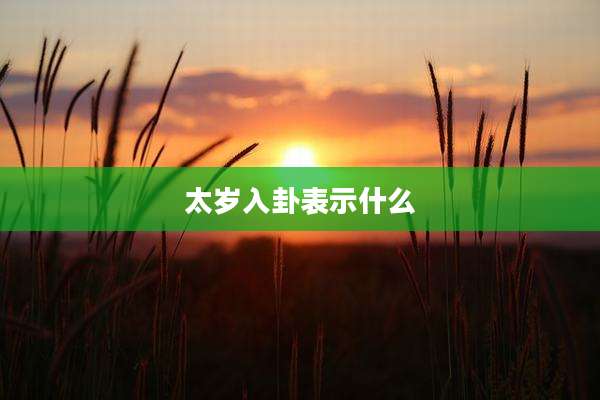 太岁入卦表示什么