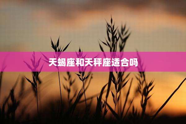 天蝎座和天秤座适合吗