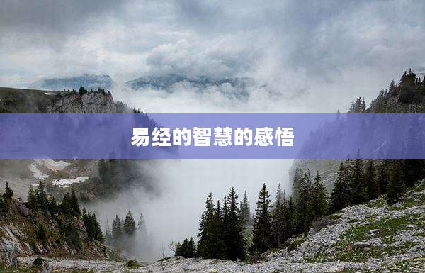 易经的智慧的感悟