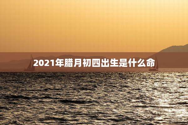 2021年腊月初四出生是什么命