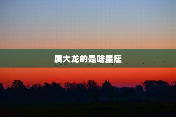 属大龙的是啥星座