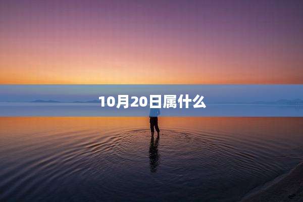 10月20日属什么