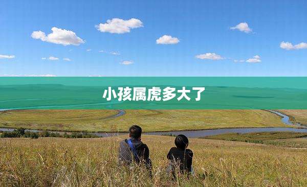小孩属虎多大了