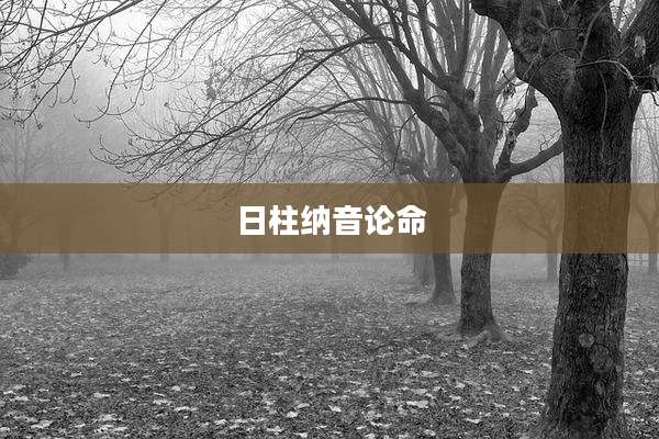 日柱纳音论命