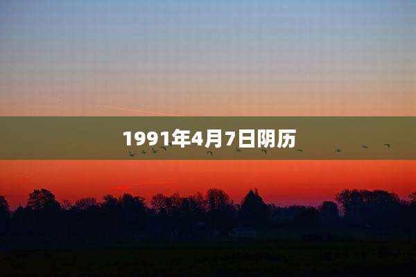1991年4月7日阴历