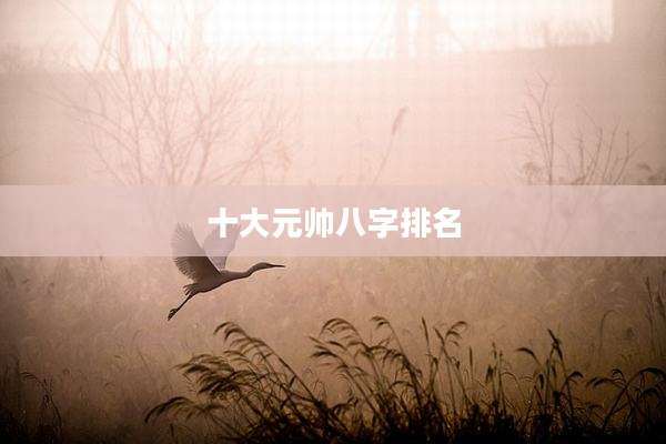 十大元帅八字排名