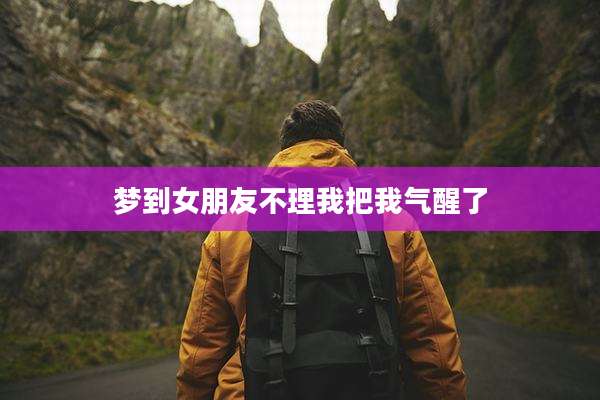 梦到女朋友不理我把我气醒了