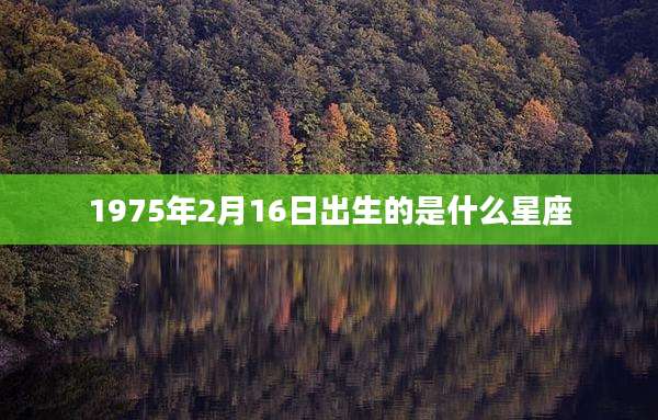 1975年2月16日出生的是什么星座