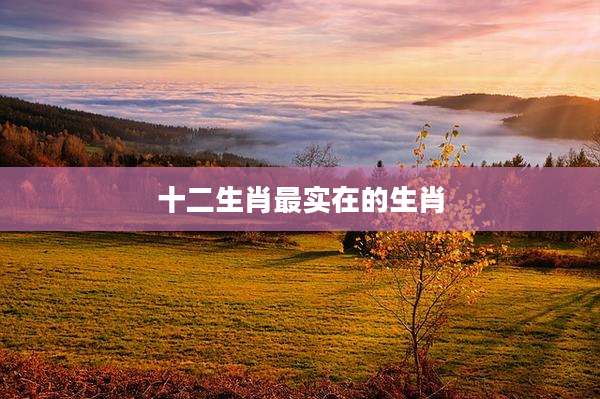 十二生肖最实在的生肖