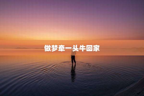 做梦牵一头牛回家