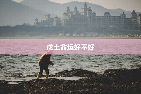 戊土命运好不好