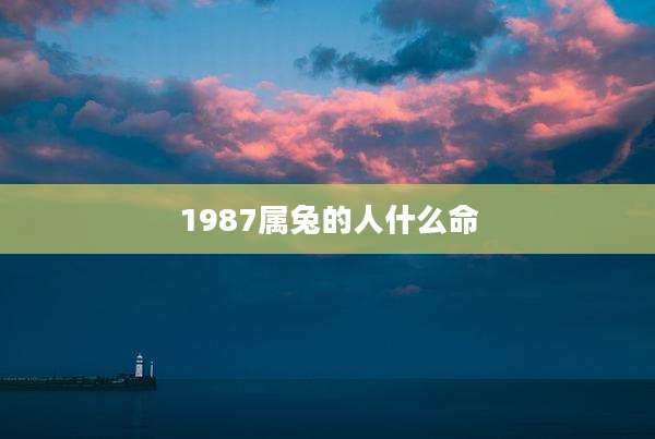1987属兔的人什么命