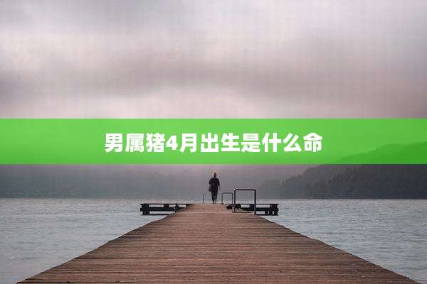 男属猪4月出生是什么命