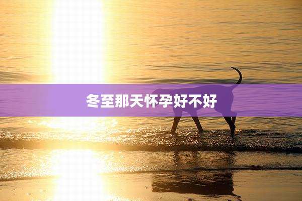 冬至那天怀孕好不好