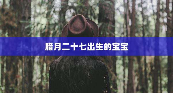 腊月二十七出生的宝宝