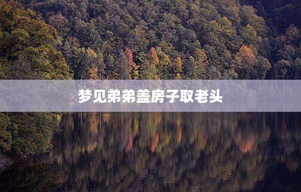 梦见弟弟盖房子取老头
