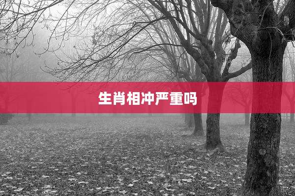 生肖相冲严重吗