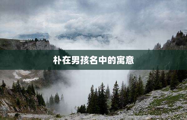 朴在男孩名中的寓意