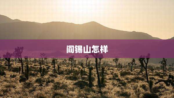 阎锡山怎样