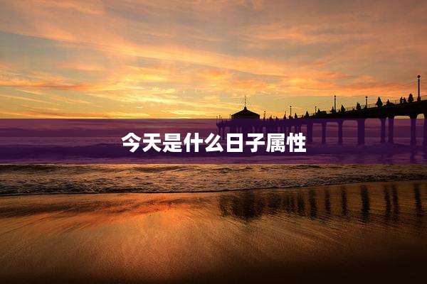 今天是什么日子属性