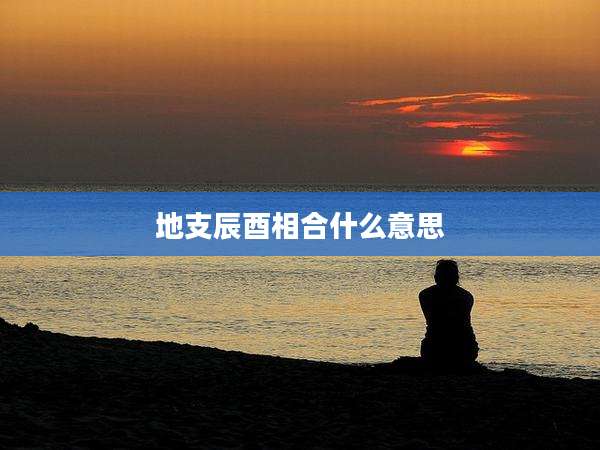 地支辰酉相合什么意思