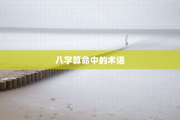 八字算命中的术语