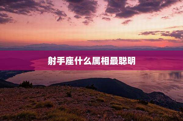 射手座什么属相最聪明
