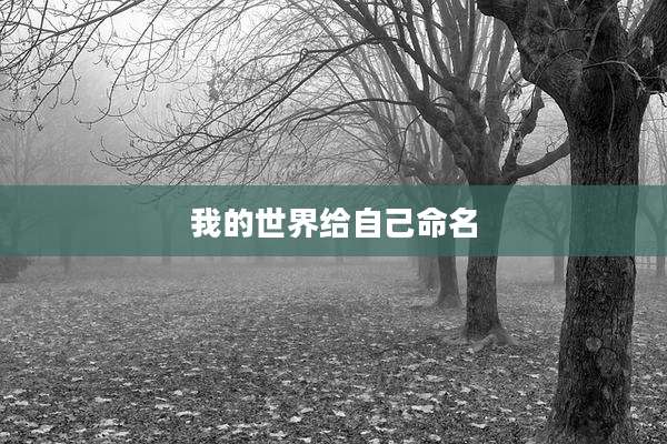 我的世界给自己命名