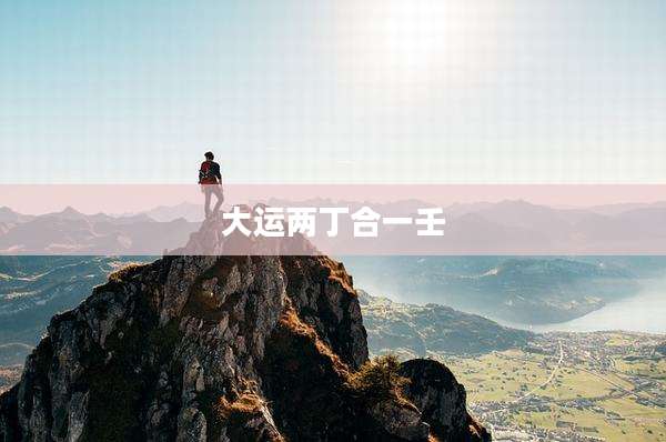 大运两丁合一壬