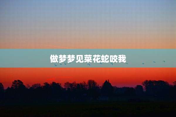 做梦梦见菜花蛇咬我
