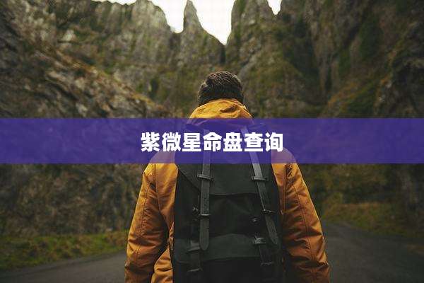紫微星命盘查询