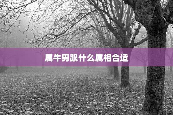 属牛男跟什么属相合适