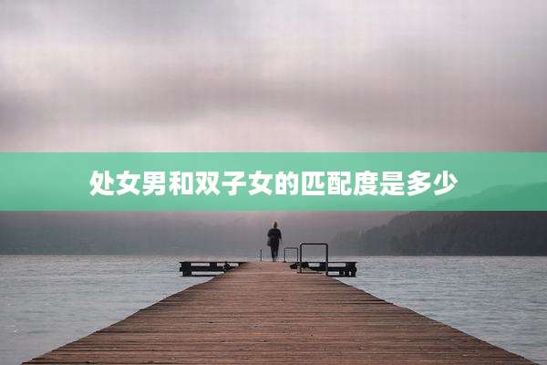 处女男和双子女的匹配度是多少