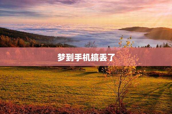 梦到手机搞丢了