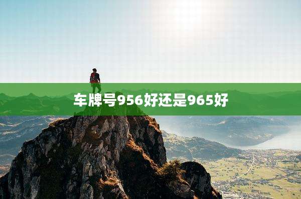 车牌号956好还是965好