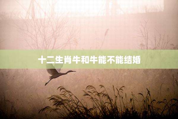 十二生肖牛和牛能不能结婚