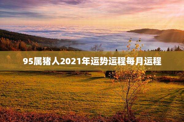 95属猪人2021年运势运程每月运程