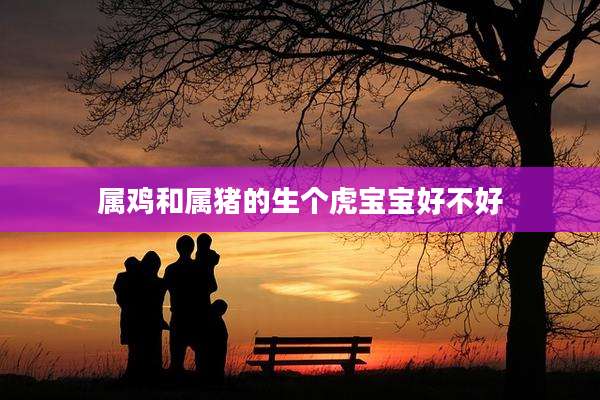 属鸡和属猪的生个虎宝宝好不好